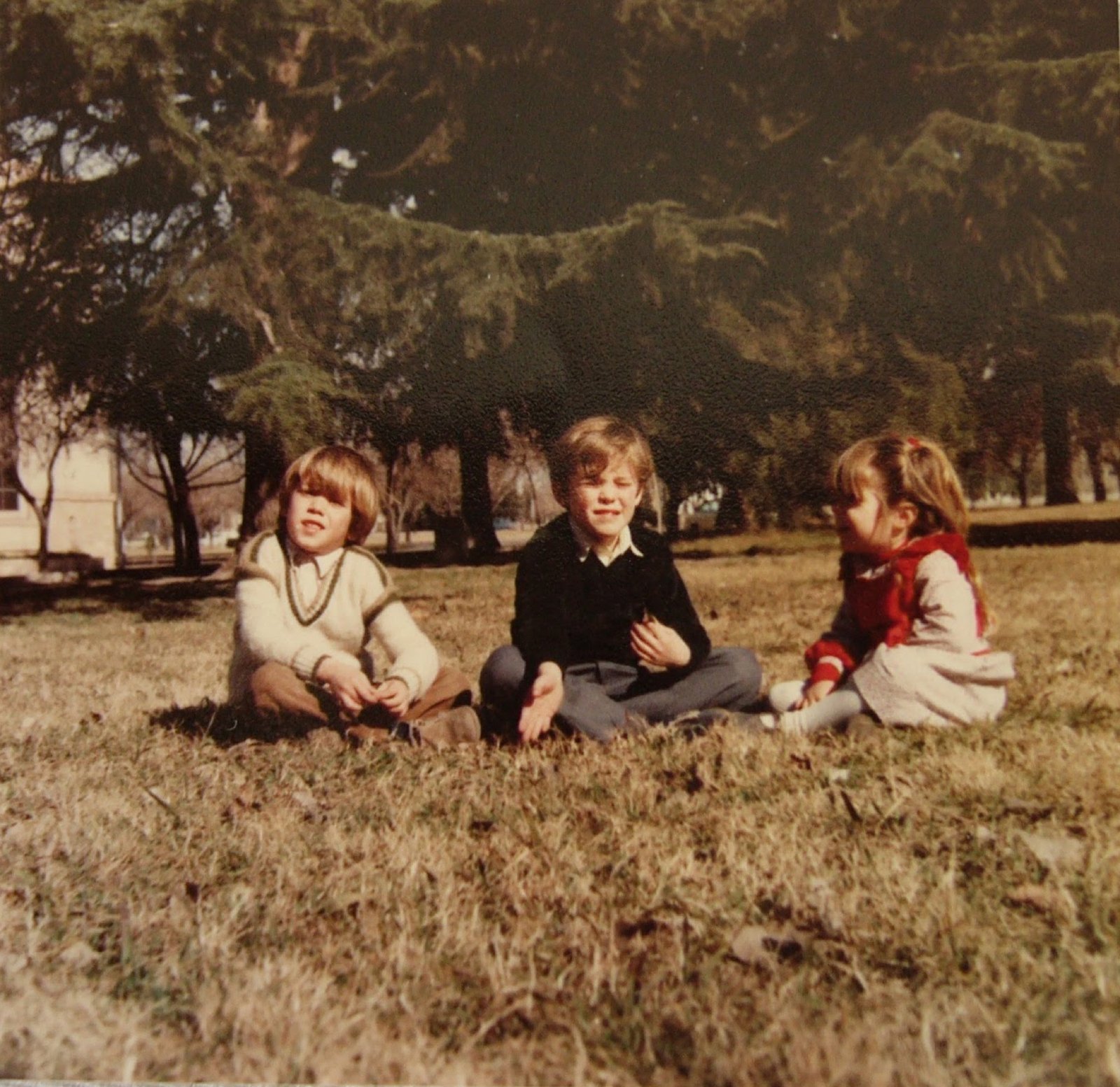 Three children sitting on the grass in a park, under tall trees
